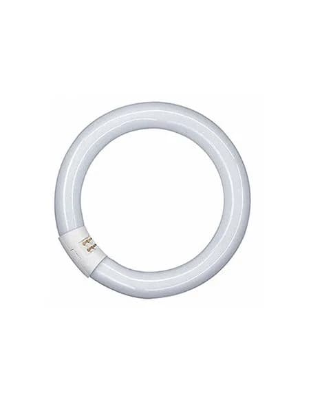 TUBO LED CIRCULAR 20W HOME LIGHT